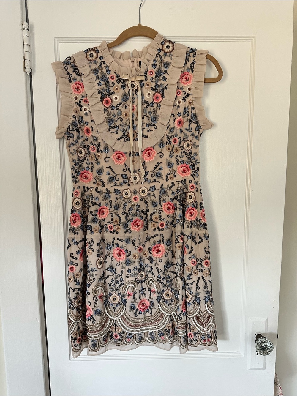 Needle and thread embroidered mini dress